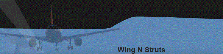
                                                            Wing N Struts                                     